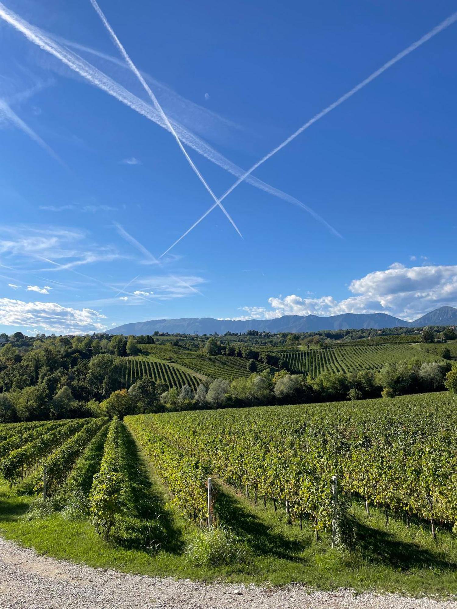Tenuta Malvolti - Al Vecchio Convento San Fior di Sopra ภายนอก รูปภาพ